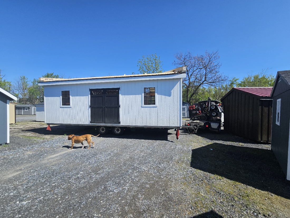 Rear view of a two-story structure staged on the Parkesburg lot before delivery — roof sheathing visible, Mack the lot dog in foreground